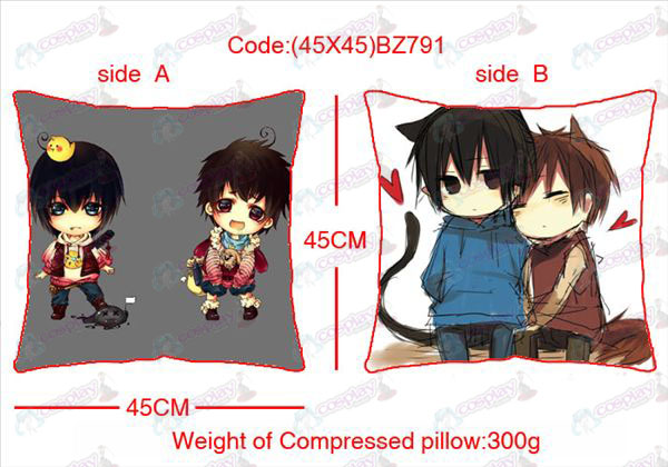 (45X45) BZ791-Daomu Accessories Anime sided square pillow