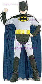 Animated Batman Costume