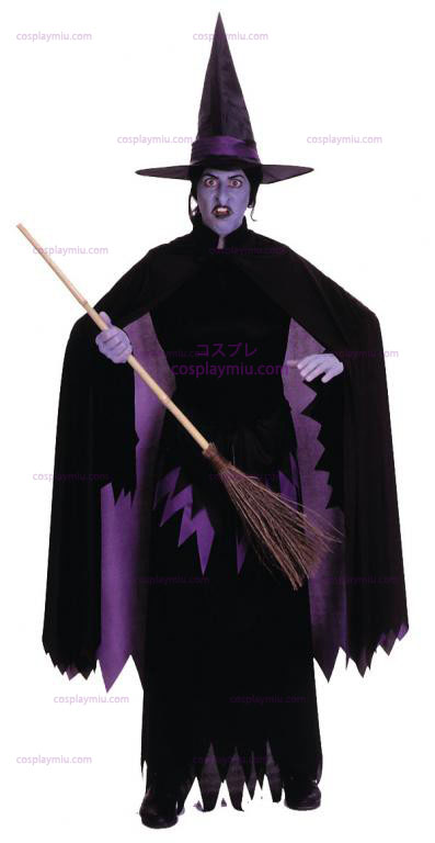 Wizard Of Oz Wicked Witch Of The West Adult Costume