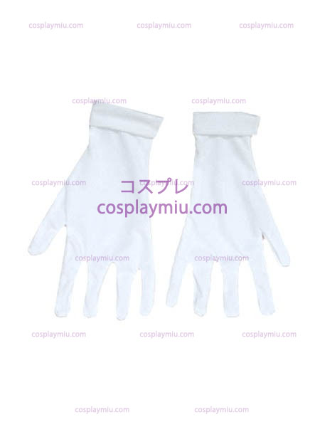 Tales of the Abyss Dist Uniform Costume